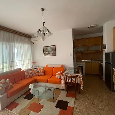 Sol Zoja Fusha E Aviacionit *